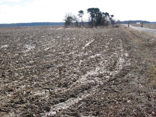 Property photo 21 - 127 Acres Offered in 4 Tracts